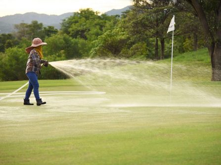 Kỹ thuật trồng cỏ sân golf