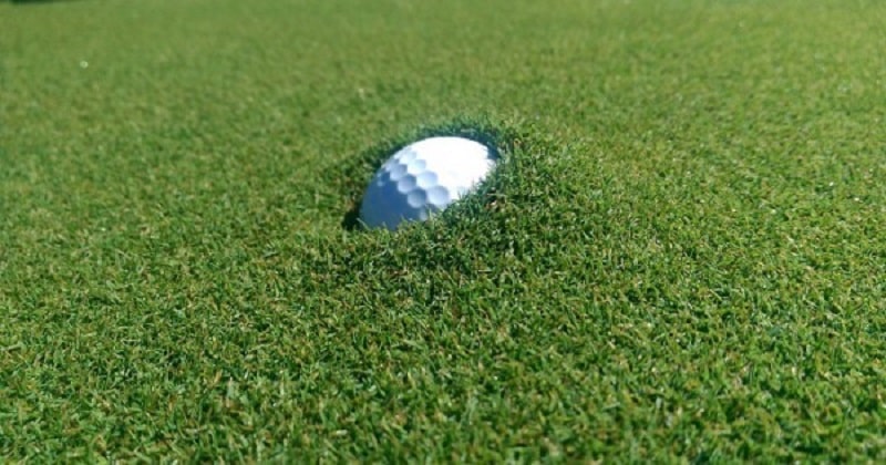 Bóng golf bị lún thường là do trời mưa khiến đất trên sân mềm và ẩn ướt