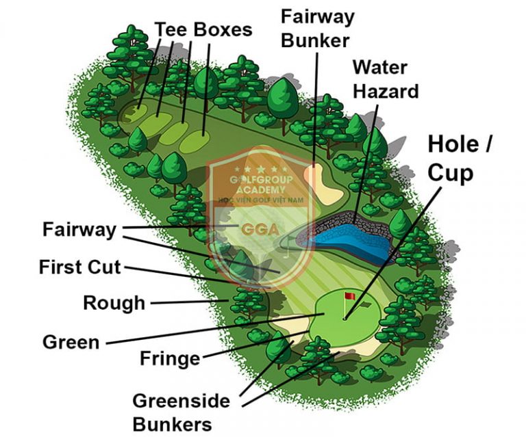 Fairway Là Gì? Những Điều Cần Biết Về Thuật Ngữ Này