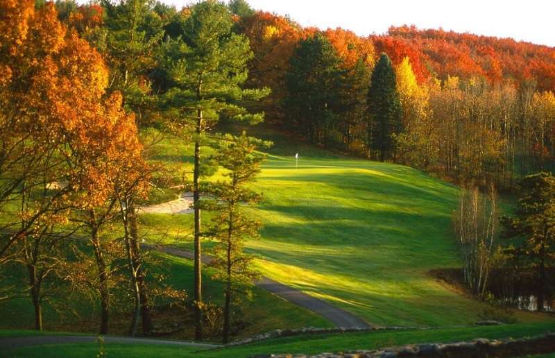 The International Golf Club – Pines Course gây ấn tượng ngay từ ánh nhìn đầu tiên