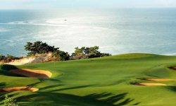 Điều Gì Khiến Sân Golf Ocean Dunes Thu Hút Golfer Tới Chơi Golf?