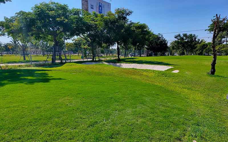 Những thông tin hữu ích về sân golf Xuân Thủy - Đà Nẵng