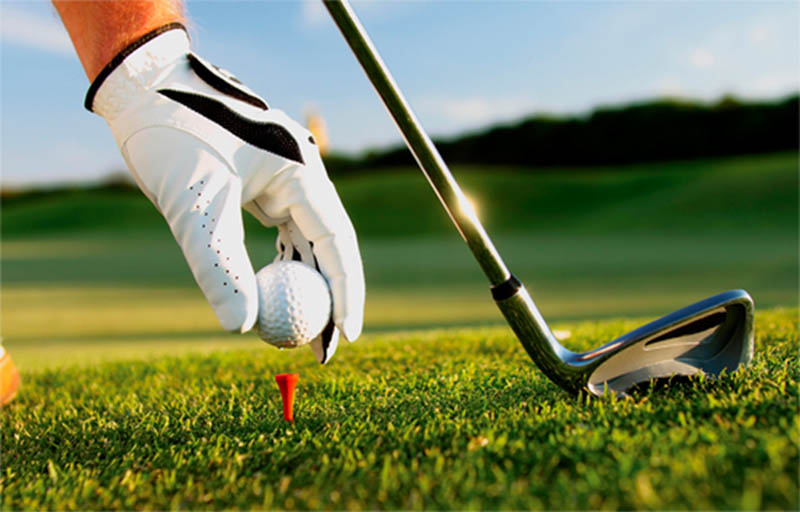 Lựa chọn cán gậy golf phù hợp giúp golfer tối ưu hiệu suất đánh bóng