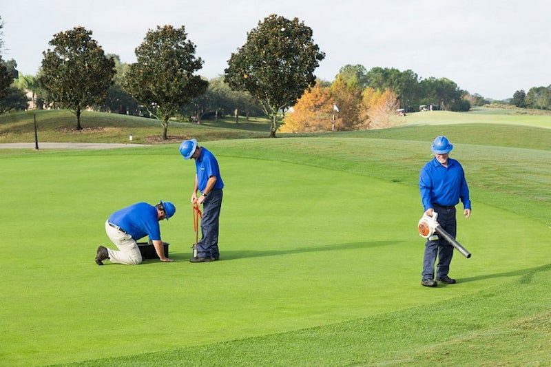 Chăm sóc cỏ sân golf kỹ càng để đảm bảo chất lượng mặt sân