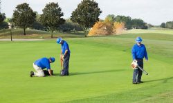 Nhân viên bảo dưỡng sân golf có nhiệm vụ cắt tỉa cỏ trên sân