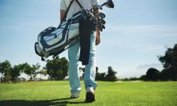 Tùy vào nhu cầu sử dụng golfer nên cân nhắc loại túi golf phù hợp